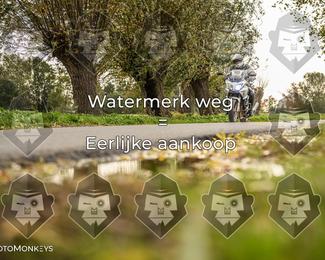 Foto's Herfstrit Moerzeke | Hartrijders 25-10-2026 photo