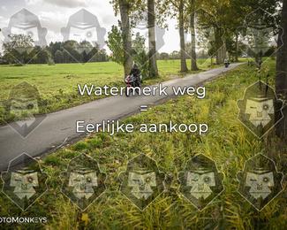 Foto's Herfstrit Moerzeke | Hartrijders 25-10-2026 photo