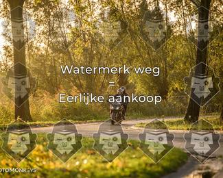 Foto's Herfstrit Moerzeke | Hartrijders 25-10-2026 photo