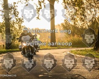 Foto's Herfstrit Moerzeke | Hartrijders 25-10-2026 photo