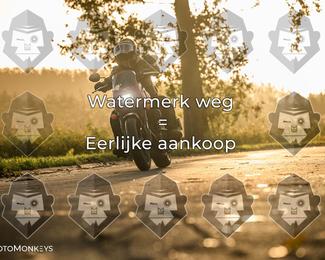 Foto's Herfstrit Moerzeke | Hartrijders 25-10-2026 photo
