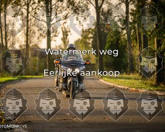 Foto's Herfstrit Moerzeke | Hartrijders 25-10-2026 photo