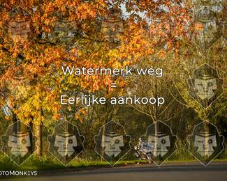 Foto's Herfstrit Moerzeke | Hartrijders 25-10-2026 photo