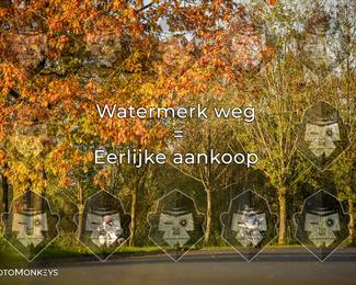 Foto's Herfstrit Moerzeke | Hartrijders 25-10-2026 photo