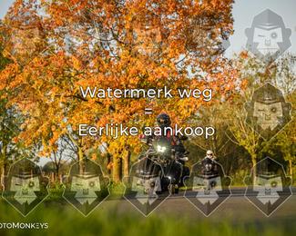 Foto's Herfstrit Moerzeke | Hartrijders 25-10-2026 photo