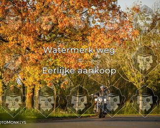 Foto's Herfstrit Moerzeke | Hartrijders 25-10-2026 photo