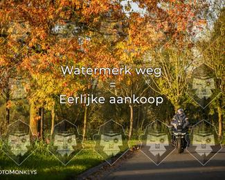Foto's Herfstrit Moerzeke | Hartrijders 25-10-2026 photo