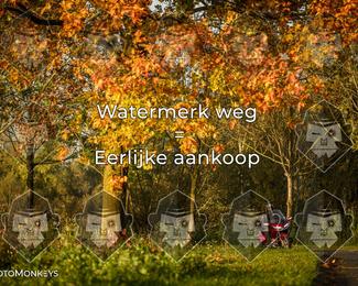 Foto's Herfstrit Moerzeke | Hartrijders 25-10-2026 photo