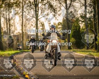Foto's Herfstrit Moerzeke | Hartrijders 25-10-2026 photo