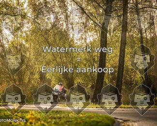 Foto's Herfstrit Moerzeke | Hartrijders 25-10-2026 photo