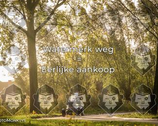 Foto's Herfstrit Moerzeke | Hartrijders 25-10-2026 photo