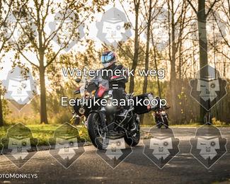 Foto's Herfstrit Moerzeke | Hartrijders 25-10-2026 photo