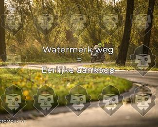 Foto's Herfstrit Moerzeke | Hartrijders 25-10-2026 photo