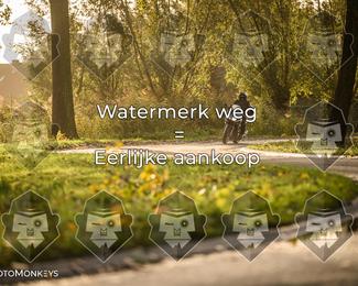 Foto's Herfstrit Moerzeke | Hartrijders 25-10-2026 photo