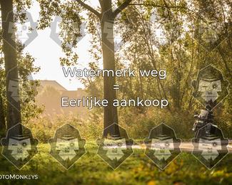 Foto's Herfstrit Moerzeke | Hartrijders 25-10-2026 photo
