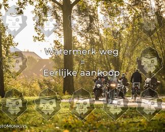 Foto's Herfstrit Moerzeke | Hartrijders 25-10-2026 photo
