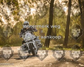 Foto's Herfstrit Moerzeke | Hartrijders 25-10-2026 photo