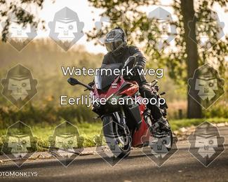 Foto's Herfstrit Moerzeke | Hartrijders 25-10-2026 photo