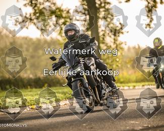 Foto's Herfstrit Moerzeke | Hartrijders 25-10-2026 photo