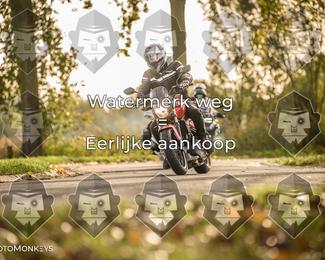 Foto's Herfstrit Moerzeke | Hartrijders 25-10-2026 photo