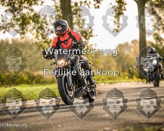 Foto's Herfstrit Moerzeke | Hartrijders 25-10-2026 photo