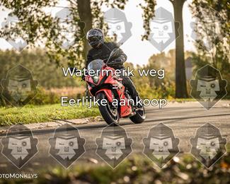 Foto's Herfstrit Moerzeke | Hartrijders 25-10-2026 photo