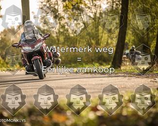 Foto's Herfstrit Moerzeke | Hartrijders 25-10-2026 photo