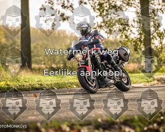 Foto's Herfstrit Moerzeke | Hartrijders 25-10-2026 photo
