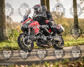 Foto's Herfstrit Moerzeke | Hartrijders 25-10-2026 photo
