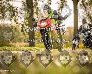 Foto's Herfstrit Moerzeke | Hartrijders 25-10-2026 photo