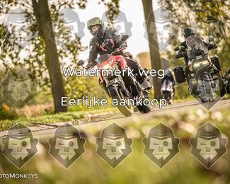 Foto's Herfstrit Moerzeke | Hartrijders 25-10-2026 photo