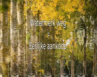 Foto's Herfstrit Moerzeke | Hartrijders 25-10-2026 photo