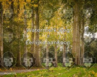 Foto's Herfstrit Moerzeke | Hartrijders 25-10-2026 photo