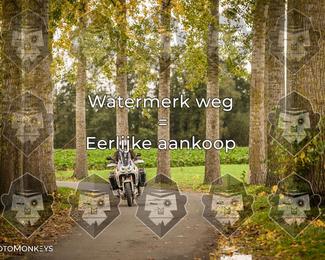 Foto's Herfstrit Moerzeke | Hartrijders 25-10-2026 photo