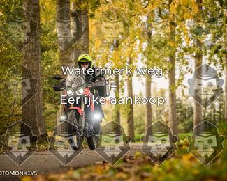 Foto's Herfstrit Moerzeke | Hartrijders 25-10-2026 photo