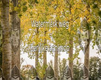 Foto's Herfstrit Moerzeke | Hartrijders 25-10-2026 photo