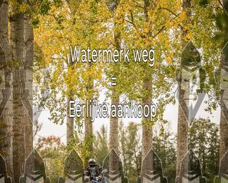 Foto's Herfstrit Moerzeke | Hartrijders 25-10-2026 photo