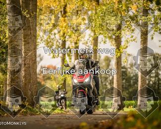 Foto's Herfstrit Moerzeke | Hartrijders 25-10-2026 photo