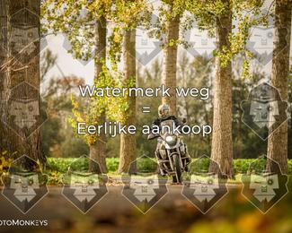 Foto's Herfstrit Moerzeke | Hartrijders 25-10-2026 photo