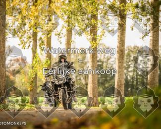 Foto's Herfstrit Moerzeke | Hartrijders 25-10-2026 photo