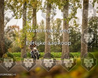 Foto's Herfstrit Moerzeke | Hartrijders 25-10-2026 photo