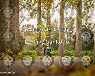 Foto's Herfstrit Moerzeke | Hartrijders 25-10-2026 photo