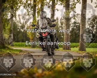 Foto's Herfstrit Moerzeke | Hartrijders 25-10-2026 photo