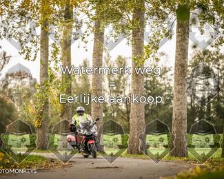 Foto's Herfstrit Moerzeke | Hartrijders 25-10-2026 photo
