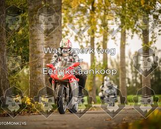 Foto's Herfstrit Moerzeke | Hartrijders 25-10-2026 photo