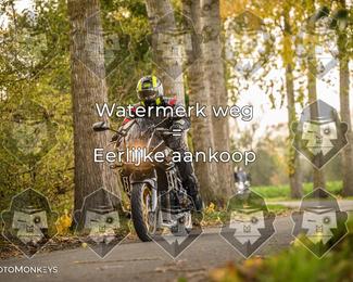 Foto's Herfstrit Moerzeke | Hartrijders 25-10-2026 photo