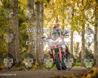 Foto's Herfstrit Moerzeke | Hartrijders 25-10-2026 photo