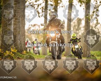 Foto's Herfstrit Moerzeke | Hartrijders 25-10-2026 photo