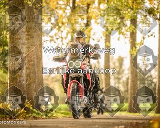 Foto's Herfstrit Moerzeke | Hartrijders 25-10-2026 photo