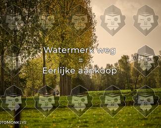 Foto's Herfstrit Moerzeke | Hartrijders 25-10-2026 photo